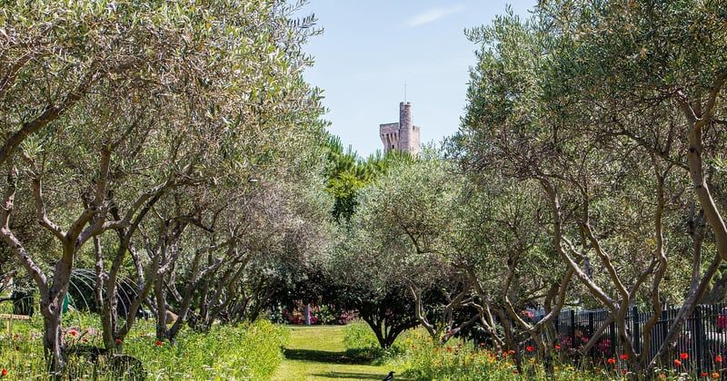 Guide pratique pour utiliser un gîte comme base pour des visites culturelles à Avignon en 2026