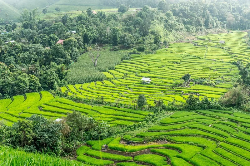 Chiang Mai : la capitale de l’artisanat et du bien-être