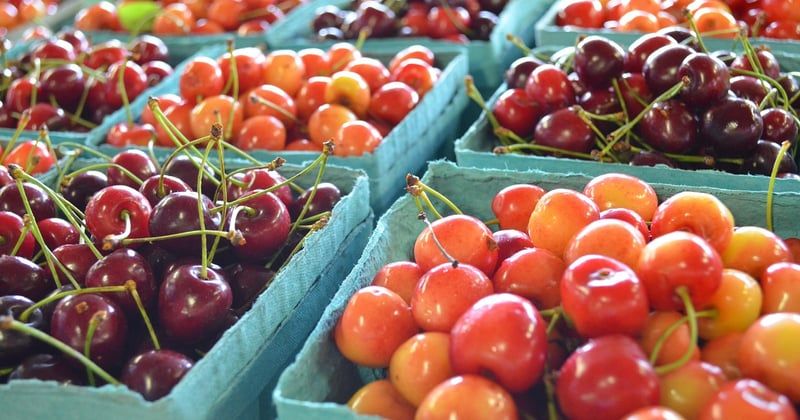 Comment cuisiner local dans un gîte avec les marchés de Provence